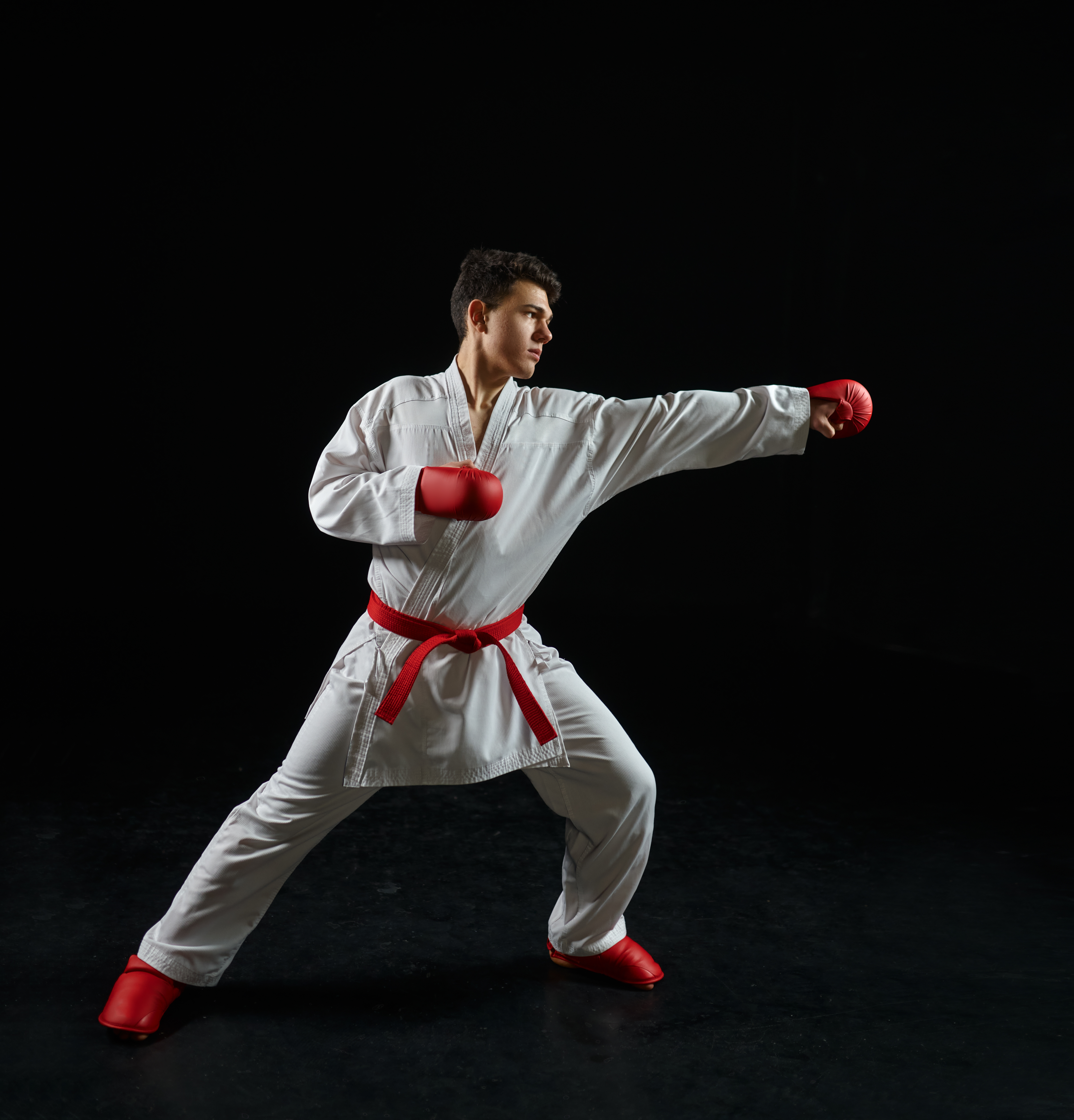 Karate Association of India